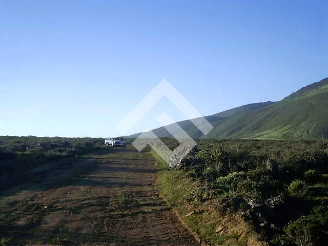 Sitio en venta Talinay Bajo, Ovalle