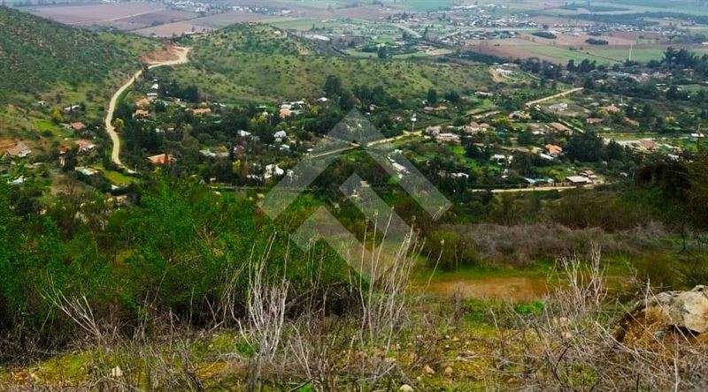 Parcela en venta 29 hectáreas La Aurora, Curacaví - Imagen 9