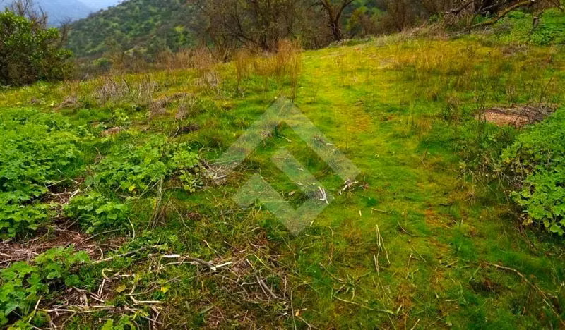 Parcela en venta en Curacaví - Imagen 5