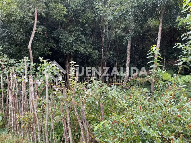Venta Casa Familiar 3D2B Excelente Precio en Puerto Varas