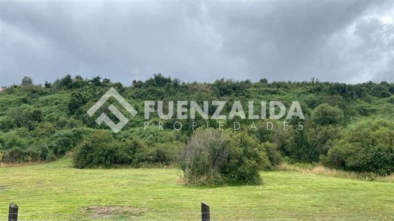 Parcela Independiente sin gastos comunes en Puerto Varas - Imagen 19