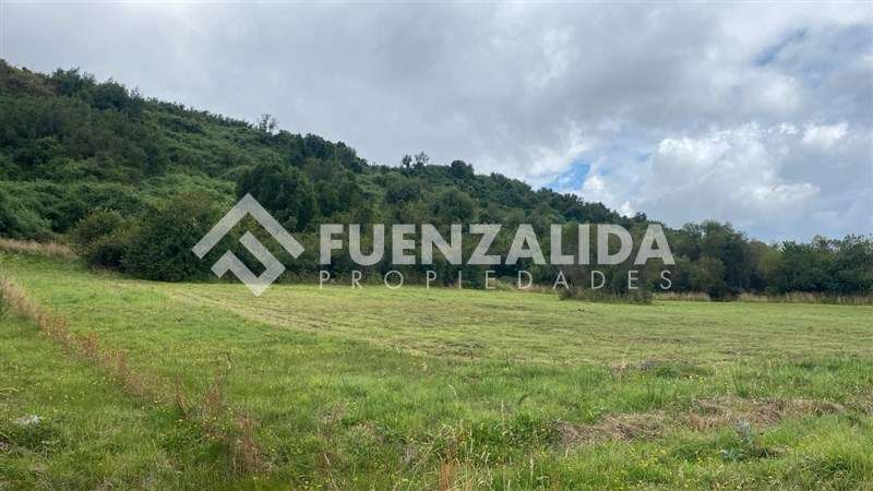 Parcela Independiente sin gastos comunes en Puerto Varas - Imagen 10