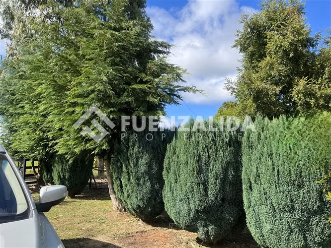 Sitio en venta de 3 Hectáreas con cabaña en Los Muermos