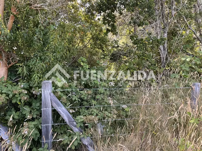 Sitio en venta de 3 Hectáreas con cabaña en Los Muermos