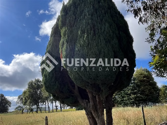 Sitio en venta de 3 Hectáreas con cabaña en Los Muermos
