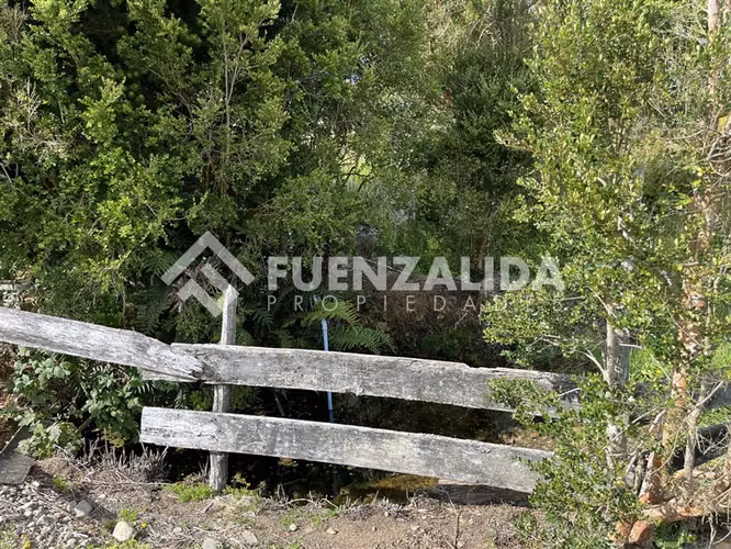 Sitio en venta de 3 Hectáreas con cabaña en Los Muermos