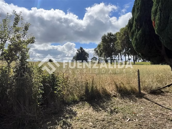 Sitio en venta de 3 Hectáreas con cabaña en Los Muermos