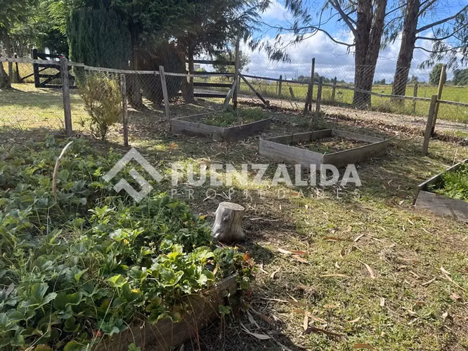 Sitio en venta de 3 Hectáreas con cabaña en Los Muermos