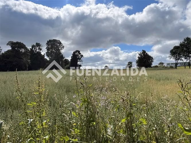 Sitio en venta de 3 Hectáreas con cabaña en Los Muermos