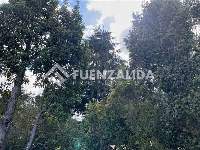 Sitio en venta de 3 Hectáreas con cabaña en Los Muermos