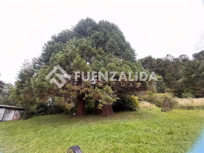 Arriendo de parcela con insfraectructura educativa.