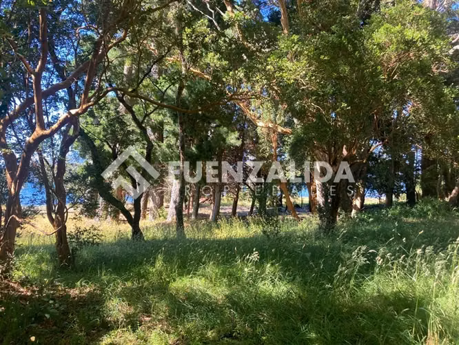 Parcelas en venta en km32 camino a Ensenada Puerto Varas