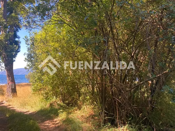 Parcelas en venta en km32 camino a Ensenada Puerto Varas