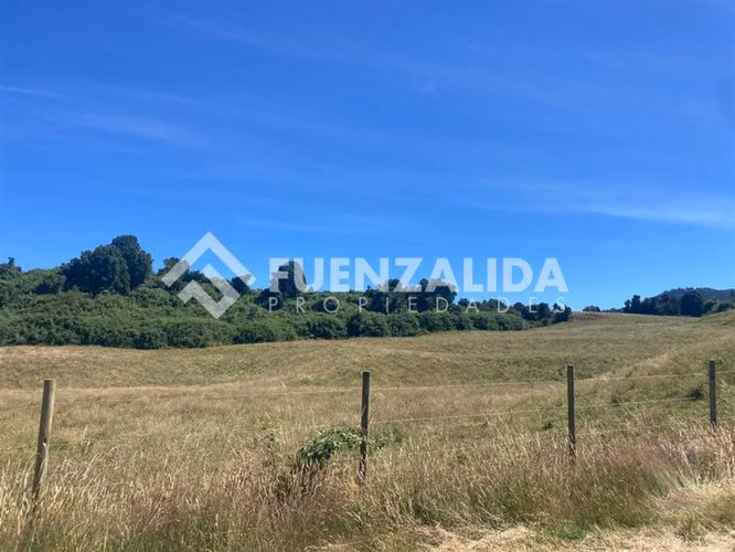 Parcelas en venta en km32 camino a Ensenada Puerto Varas