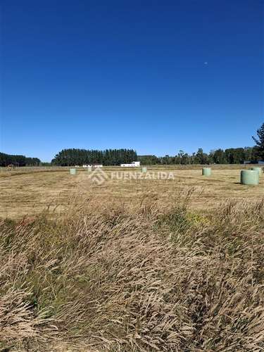 Parcela en venta en Condominio de Frutillar