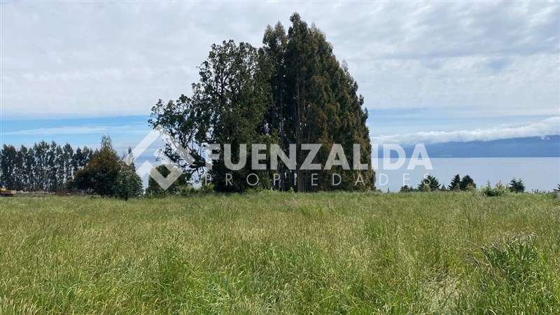 BAJO DE PRECIO VENTA Parcela Camino Ensenada Marina y Playa - Imagen 7