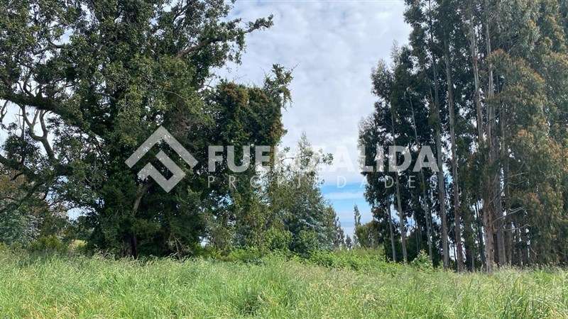 BAJO DE PRECIO VENTA Parcela Camino Ensenada Marina y Playa - Imagen 2