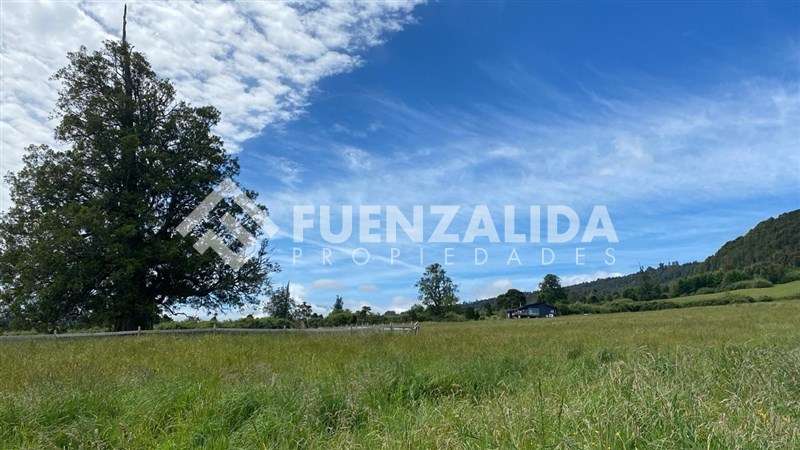 BAJO DE PRECIO VENTA Parcela Camino Ensenada Marina y Playa - Imagen 14