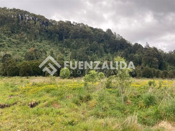 Parcela en venta en Condominio Parque el Arrayan - Imagen 22