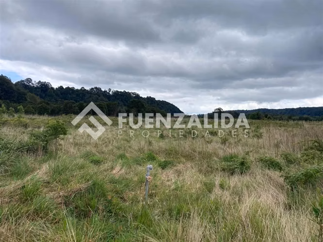 Parcela en venta en Condominio Parque el Arrayan