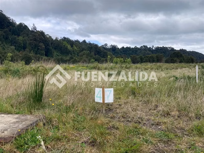 Parcela en venta en Condominio Parque el Arrayan - Imagen 7