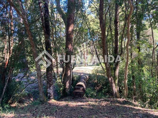 Parcela en venta con acceso a rio Maullin - Imagen 34