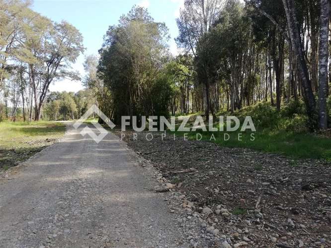 Parcela en venta con acceso a rio Maullin - Imagen 16