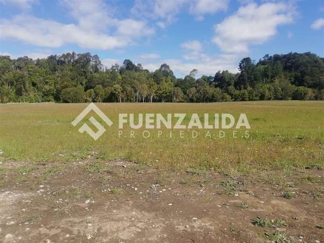 Parcela en venta con acceso a rio Maullin - Imagen 18