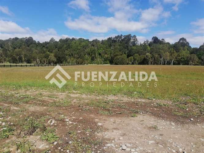 Parcela en venta con acceso a rio Maullin - Imagen 9