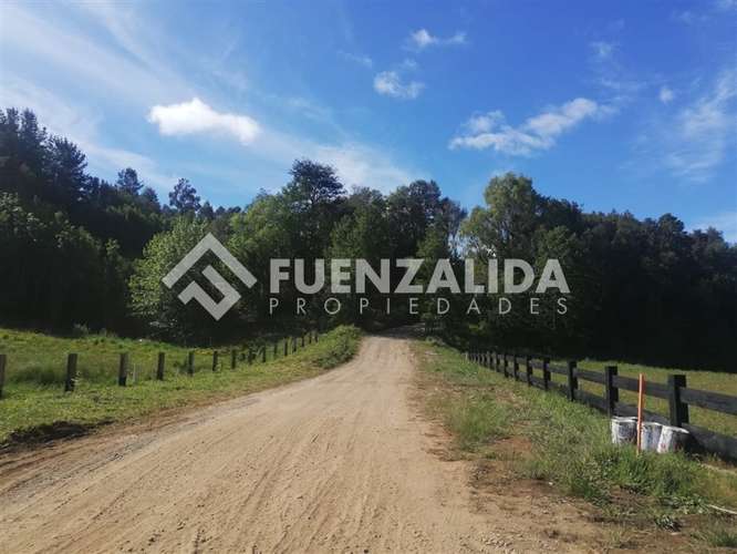 Parcela en venta con acceso a rio Maullin - Imagen 13