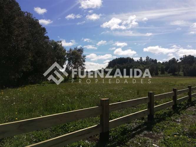 Parcela en venta con acceso a rio Maullin - Imagen 4