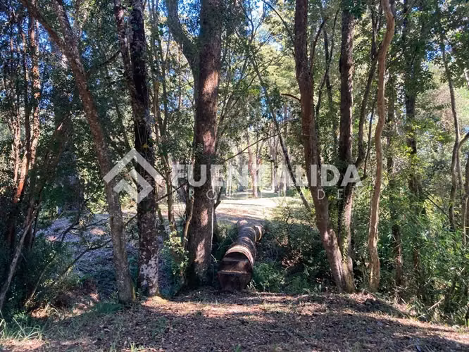 Parcela en venta con acceso a rio Maullin