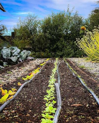 Parcela en venta en Condominio La Reserva de Frutillar