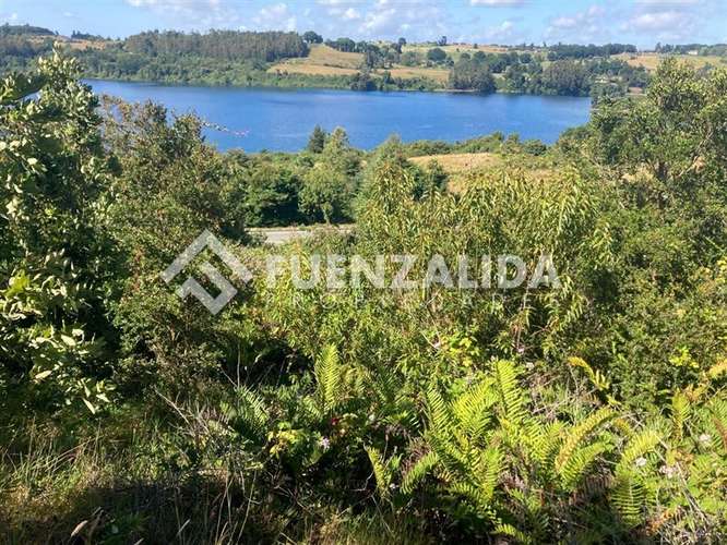 Venta Parcela Acceso Playa en Punta Larga, Frutillar