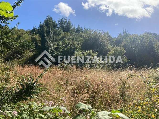 Venta Parcela Acceso Playa en Punta Larga, Frutillar