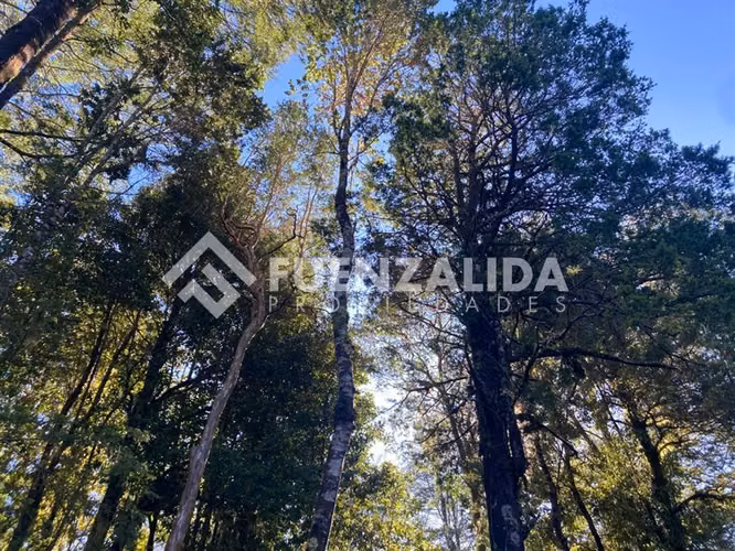 VENDEMOS CASA 2D2B A PASOS DE PARQUE ALERCE ANDINO - Imagen 25