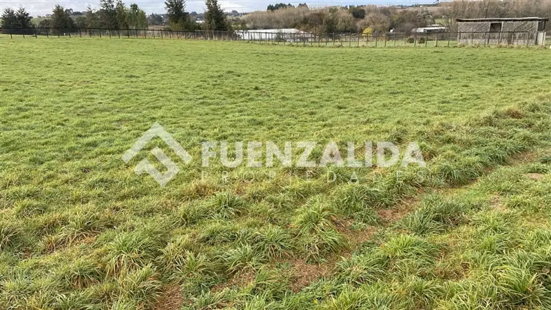 Venta Parcela a sólo UF 2.980 Linea Nueva Puerto Varas - Imagen 4