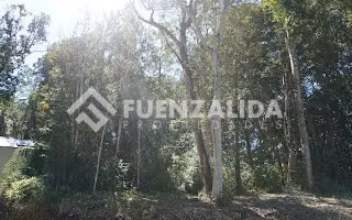 Parcela en venta en Puerto Varas