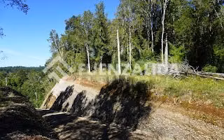 Parcela en venta en Puerto Varas