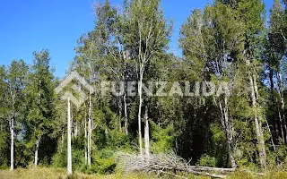 Parcela en venta en Puerto Varas
