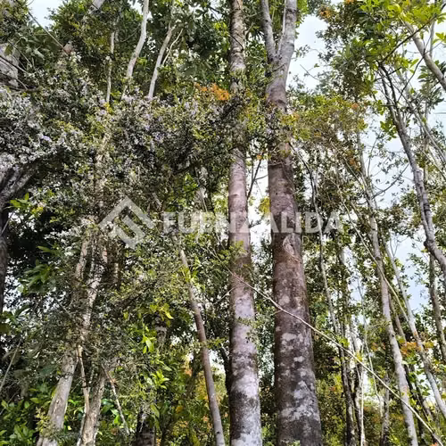 Casa en venta de 4 dorm. en Quellón