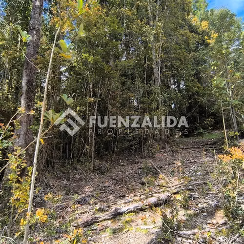 Casa en venta de 4 dorm. en Quellón