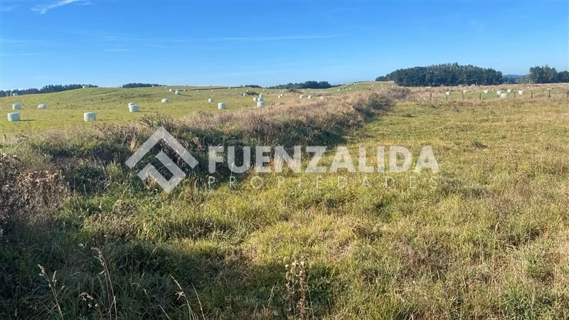 Venta Parcela en Contominio Ruta a Totoral