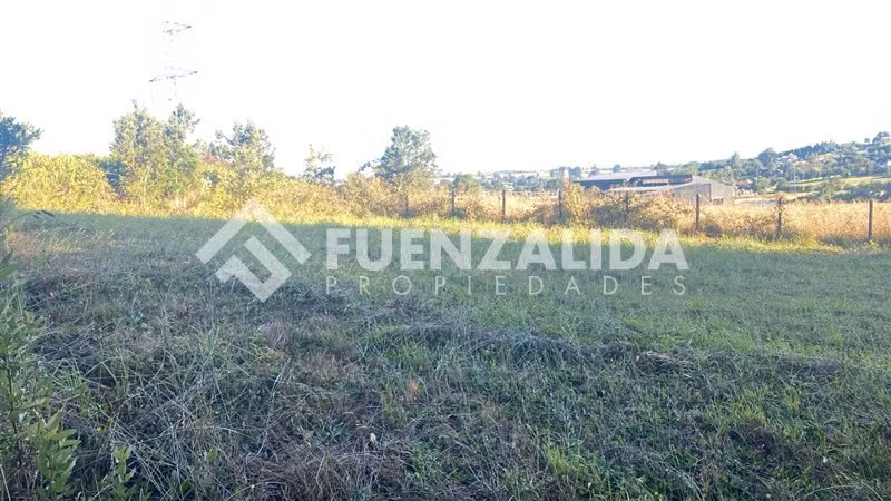 Excelente Parcela Bosque Nativo y Vertiente Puerto Varas