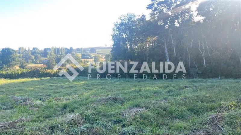 Excelente Parcela Bosque Nativo y Vertiente Puerto Varas