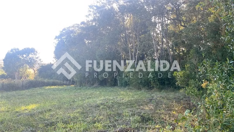 Excelente Parcela Bosque Nativo y Vertiente Puerto Varas