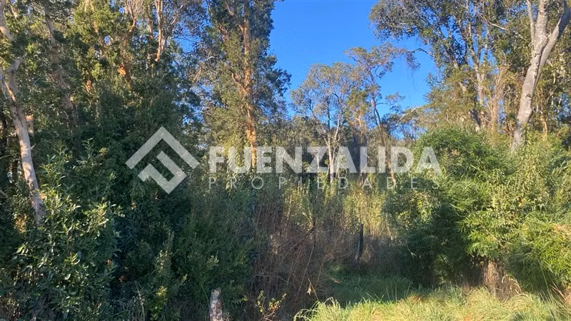 Excelente Parcela Bosque Nativo y Vertiente Puerto Varas