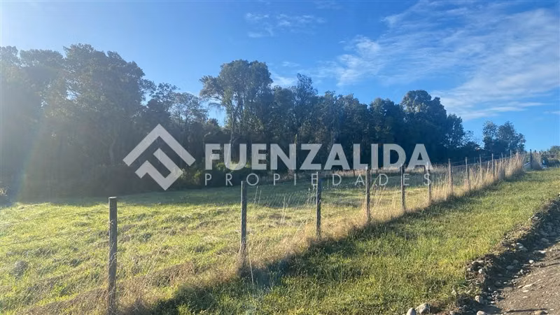 Excelente Parcela Bosque Nativo y Vertiente Puerto Varas