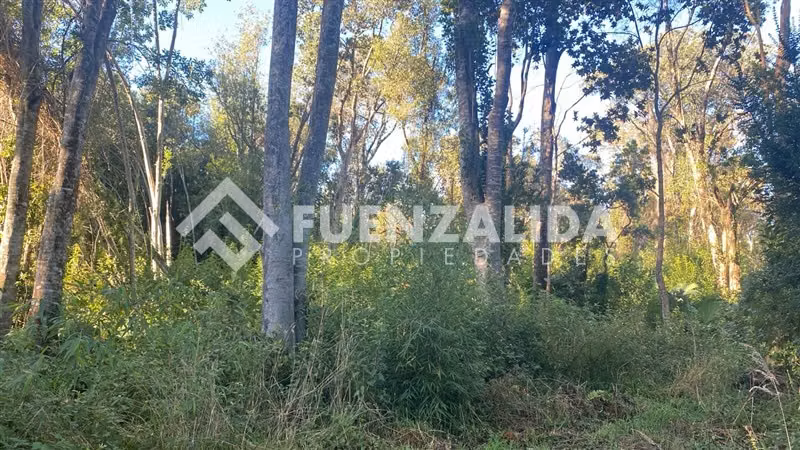 Excelente Parcela Bosque Nativo y Vertiente Puerto Varas