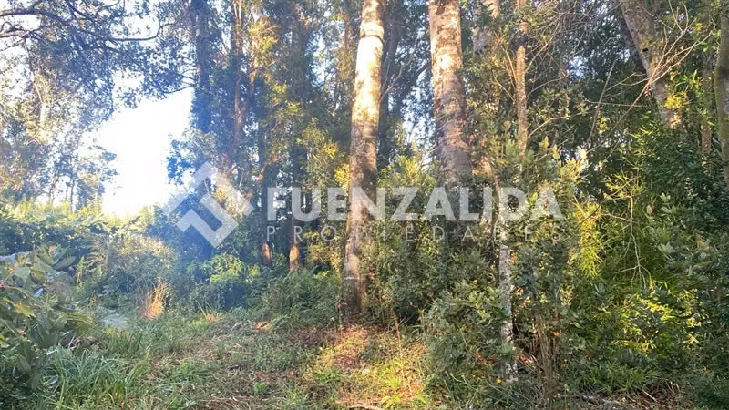 Excelente Parcela Bosque Nativo y Vertiente Puerto Varas